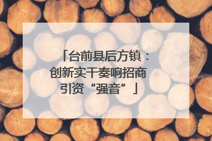 台前县后方镇：创新实干奏响招商引资“强音”