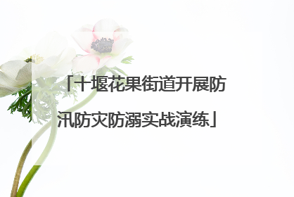 十堰花果街道开展防汛防灾防溺实战演练