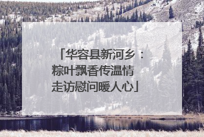 华容县新河乡：粽叶飘香传温情 走访慰问暖人心