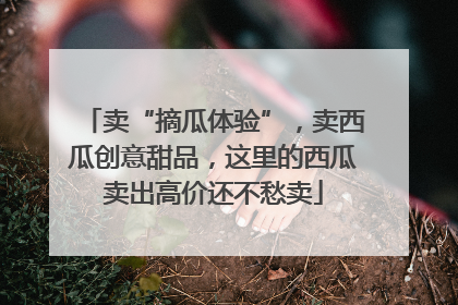 卖“摘瓜体验”，卖西瓜创意甜品，这里的西瓜卖出高价还不愁卖