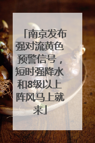 南京发布强对流黄色预警信号，短时强降水和8级以上阵风马上就来