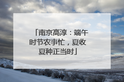 南京高淳：端午时节农事忙，夏收夏种正当时