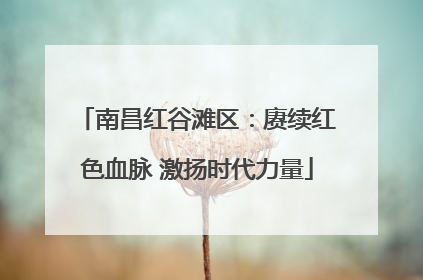 南昌红谷滩区：赓续红色血脉 激扬时代力量
