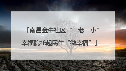 南昌金牛社区“一老一小”幸福院托起民生“微幸福”
