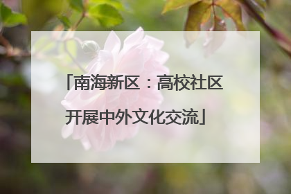 南海新区：高校社区开展中外文化交流