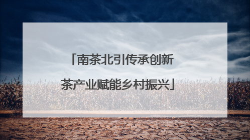 南茶北引传承创新 茶产业赋能乡村振兴