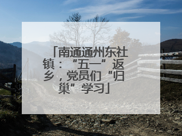 南通通州东社镇：“五一”返乡，党员们“归巢”学习