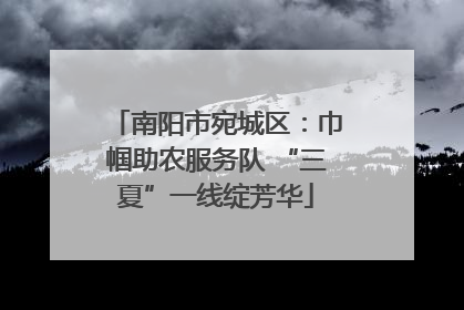 南阳市宛城区：巾帼助农服务队 “三夏”一线绽芳华
