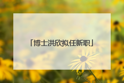 博士洪欣拟任新职
