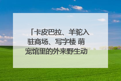卡皮巴拉、羊驼入驻商场、写字楼 萌宠馆里的外来野生动物暗藏哪些隐患？