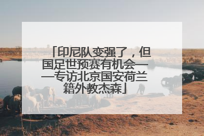 印尼队变强了，但国足世预赛有机会——专访北京国安荷兰籍外教杰森