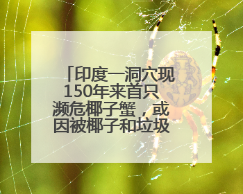 印度一洞穴现150年来首只濒危椰子蟹，或因被椰子和垃圾吸引