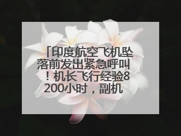 印度航空飞机坠落前发出紧急呼叫！机长飞行经验8200小时，副机长1100小时