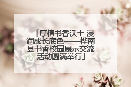 厚植书香沃土 浸润成长底色——桦南县书香校园展示交流活动圆满举行