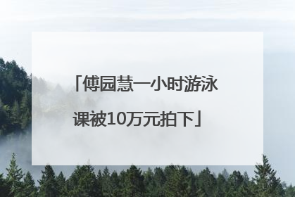 傅园慧一小时游泳课被10万元拍下