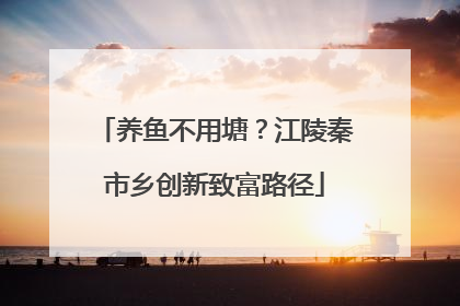 养鱼不用塘？江陵秦市乡创新致富路径