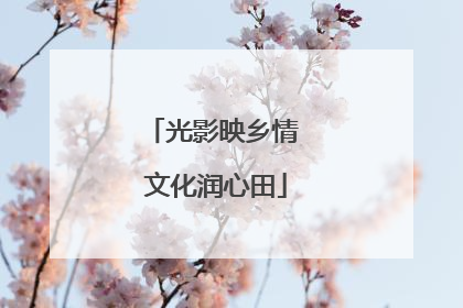 光影映乡情 文化润心田