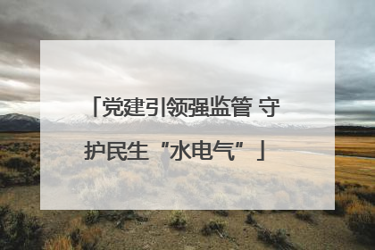 党建引领强监管 守护民生“水电气”