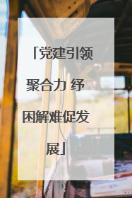 党建引领聚合力 纾困解难促发展