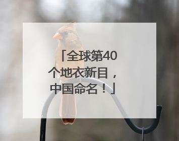 全球第40个地衣新目，中国命名！