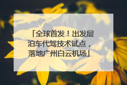 全球首发！出发层泊车代驾技术试点，落地广州白云机场