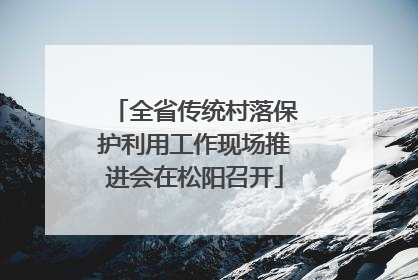 全省传统村落保护利用工作现场推进会在松阳召开