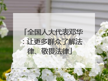 全国人大代表邓华：让更多群众了解法律、敬畏法律