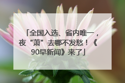 全国入选、省内唯一，夜“萧”去哪不发愁！《90早新闻》来了