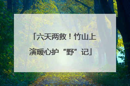 六天两救！竹山上演暖心护“野”记
