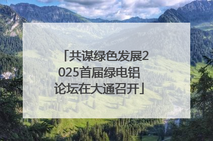 共谋绿色发展2025首届绿电铝论坛在大通召开