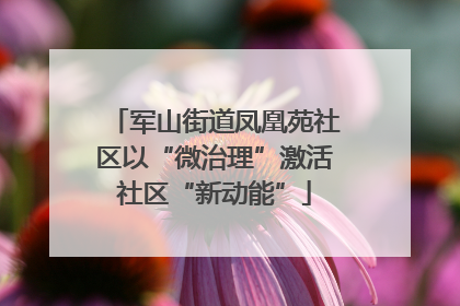 军山街道凤凰苑社区以“微治理”激活社区“新动能”
