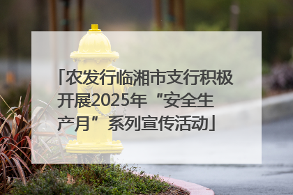 农发行临湘市支行积极开展2025年“安全生产月”系列宣传活动