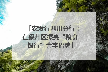 农发行四川分行：在叙州区擦亮“粮食银行”金字招牌