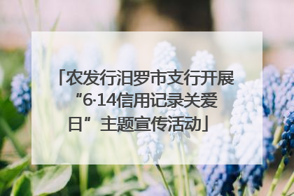 农发行汨罗市支行开展“6·14信用记录关爱日”主题宣传活动