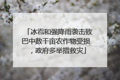 冰雹和强降雨袭击致巴中数千亩农作物受损，政府多举措救灾