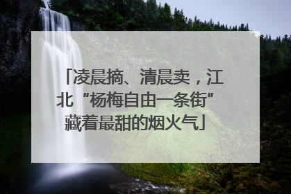 凌晨摘、清晨卖，江北“杨梅自由一条街”藏着最甜的烟火气