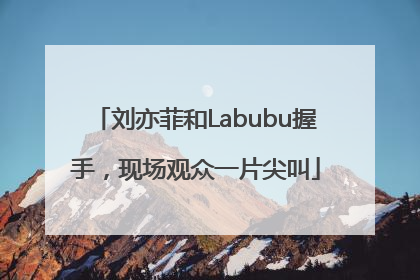 刘亦菲和Labubu握手，现场观众一片尖叫