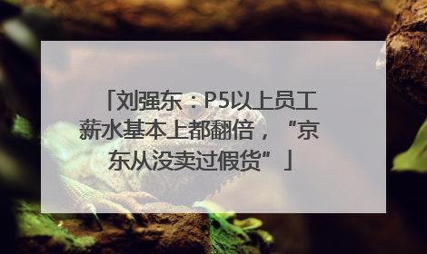 刘强东：P5以上员工薪水基本上都翻倍，“京东从没卖过假货”