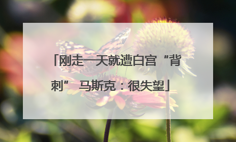 刚走一天就遭白宫“背刺” 马斯克：很失望