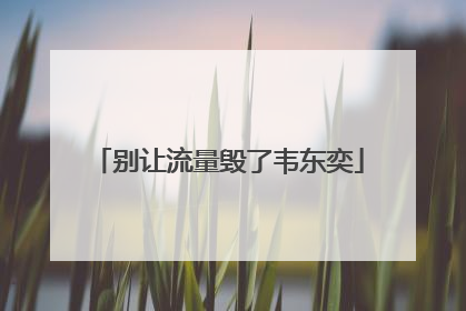 别让流量毁了韦东奕