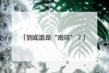 到底谁是“南哥”？