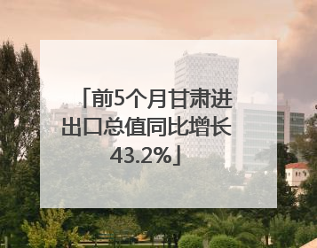 前5个月甘肃进出口总值同比增长43.2%
