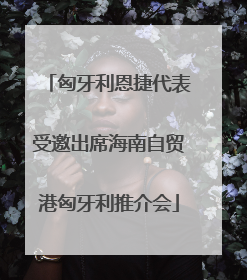 匈牙利恩捷代表受邀出席海南自贸港匈牙利推介会