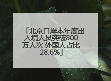 北京口岸本年度出入境人员突破800万人次 外国人占比28.6%