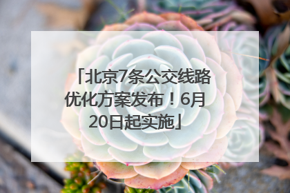 北京7条公交线路优化方案发布！6月20日起实施