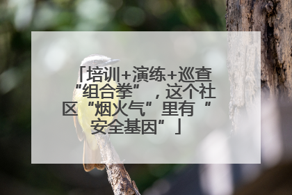 培训+演练+巡查“组合拳”，这个社区“烟火气”里有“安全基因”