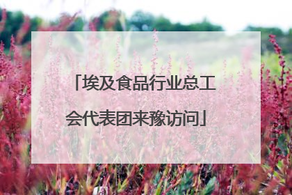 埃及食品行业总工会代表团来豫访问