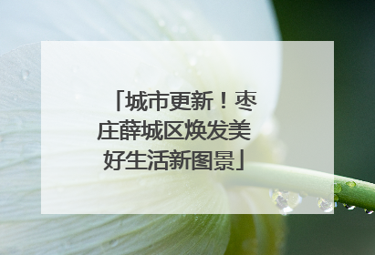 城市更新！枣庄薛城区焕发美好生活新图景