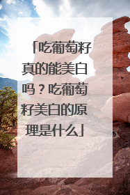 吃葡萄籽真的能美白吗？吃葡萄籽美白的原理是什么