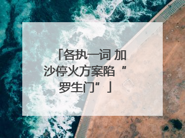 各执一词 加沙停火方案陷“罗生门”